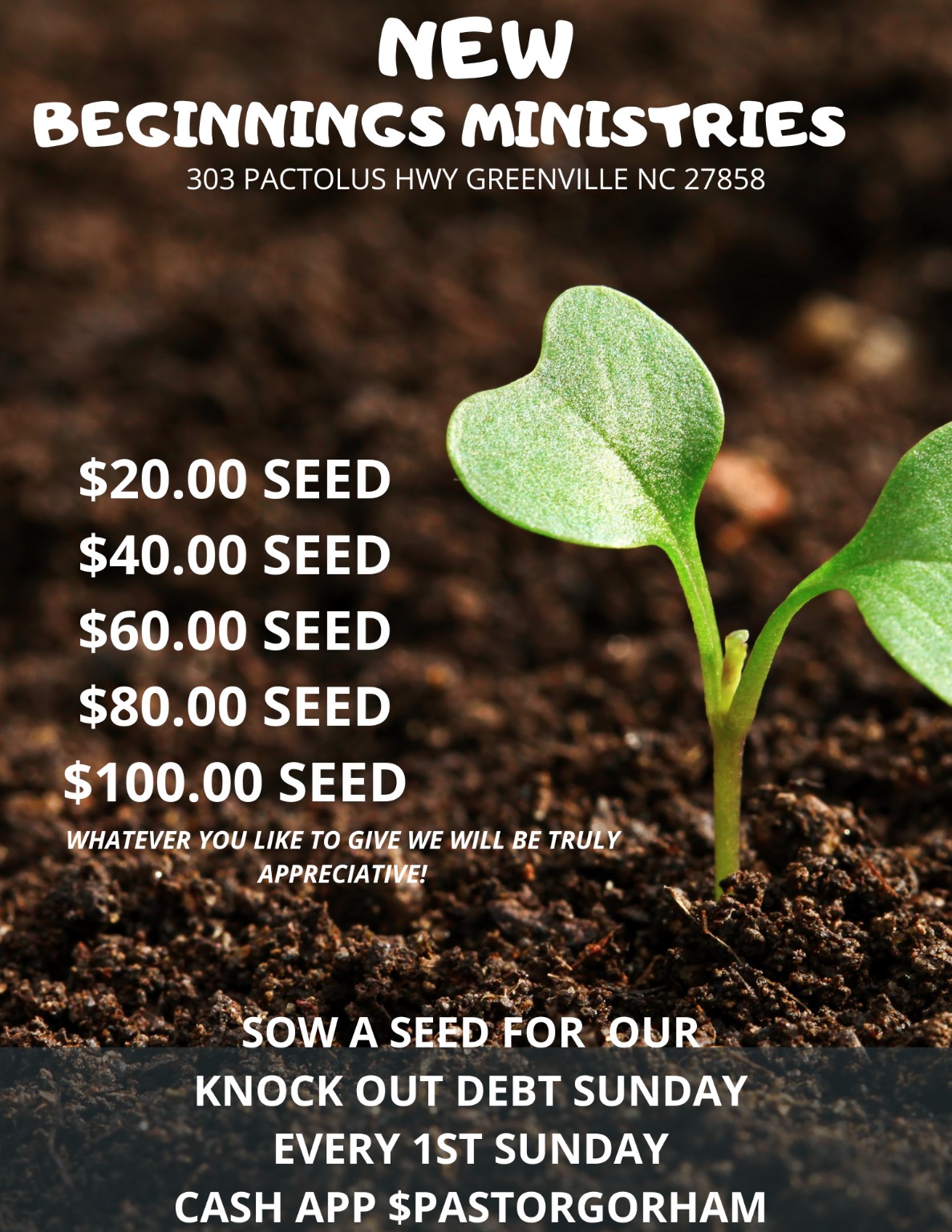 New Beginnings Ministries Big Seed Sunday
